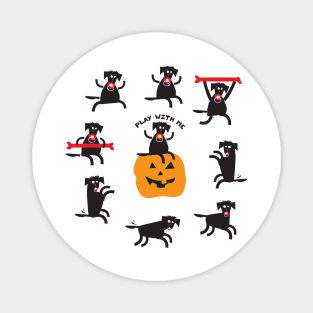 Black Labrador Dog Halloween Magnet